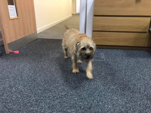 #JagerFriday 2019-05-24