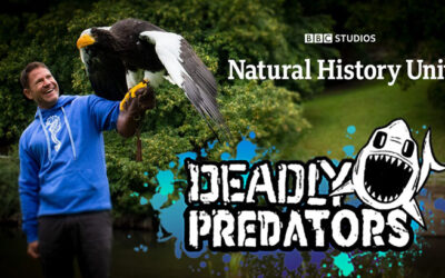 Deadly Predators / BBC Earth