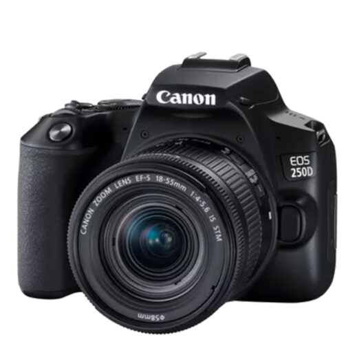 Canon EOS 250D Body
