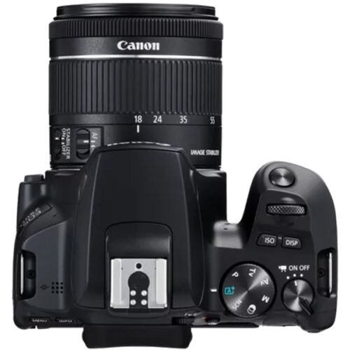 Canon EOS 250D Body - Image 2